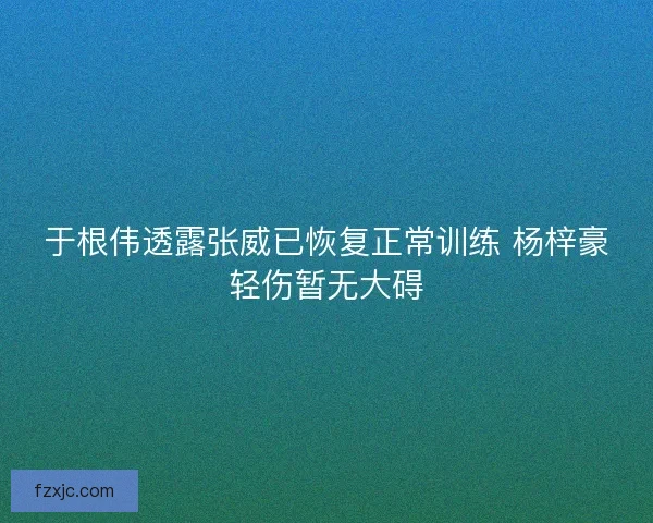 于根伟透露张威已恢复正常训练 杨梓豪轻伤暂无大碍