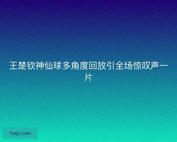 王楚钦神仙球多角度回放引全场惊叹声一片